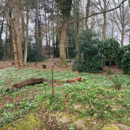 Woodland Retreat, Market Lane, Blundeston, Lowestoft Exteriör bild