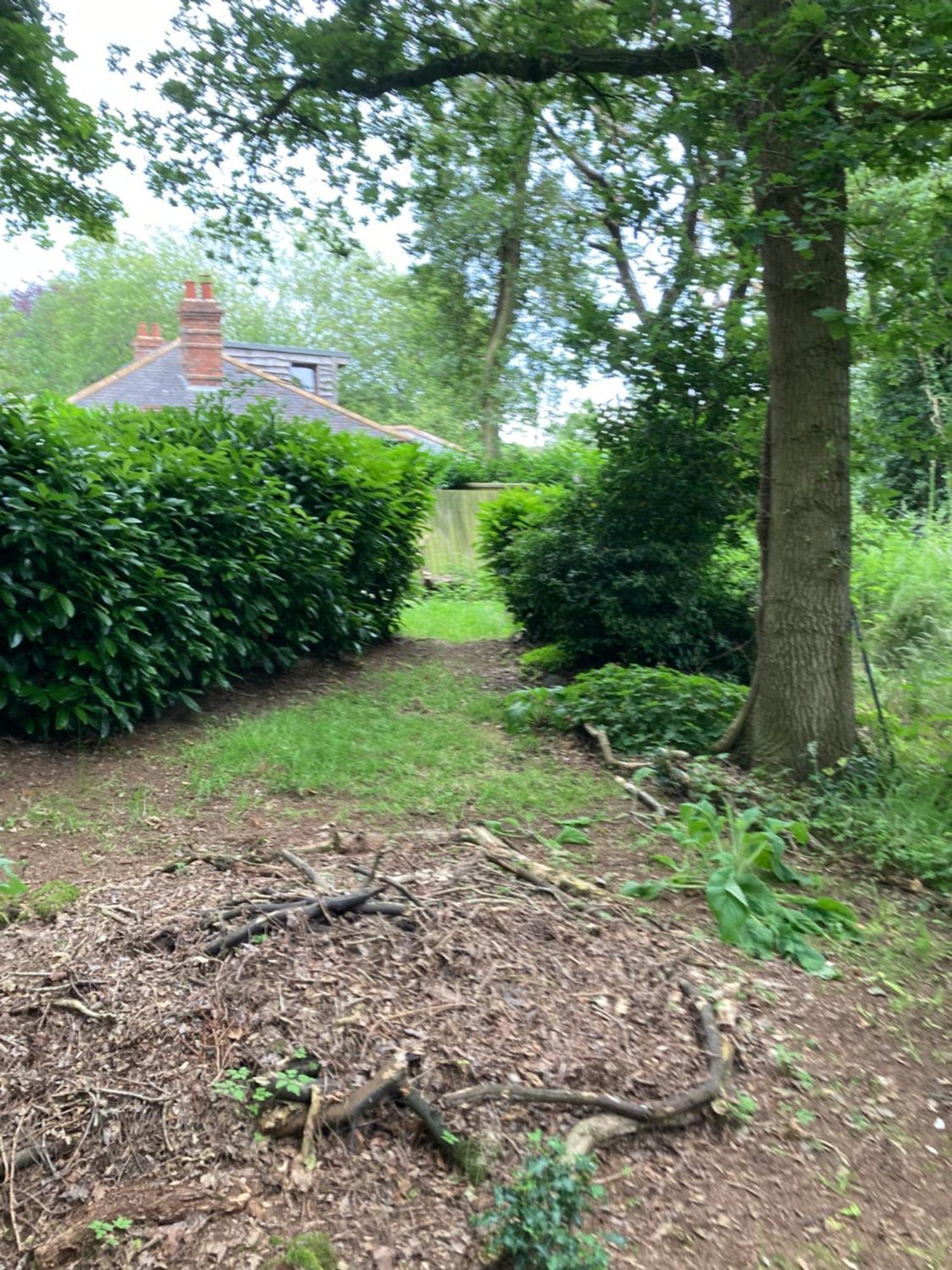 Woodland Retreat, Market Lane, Blundeston, Lowestoft Exteriör bild