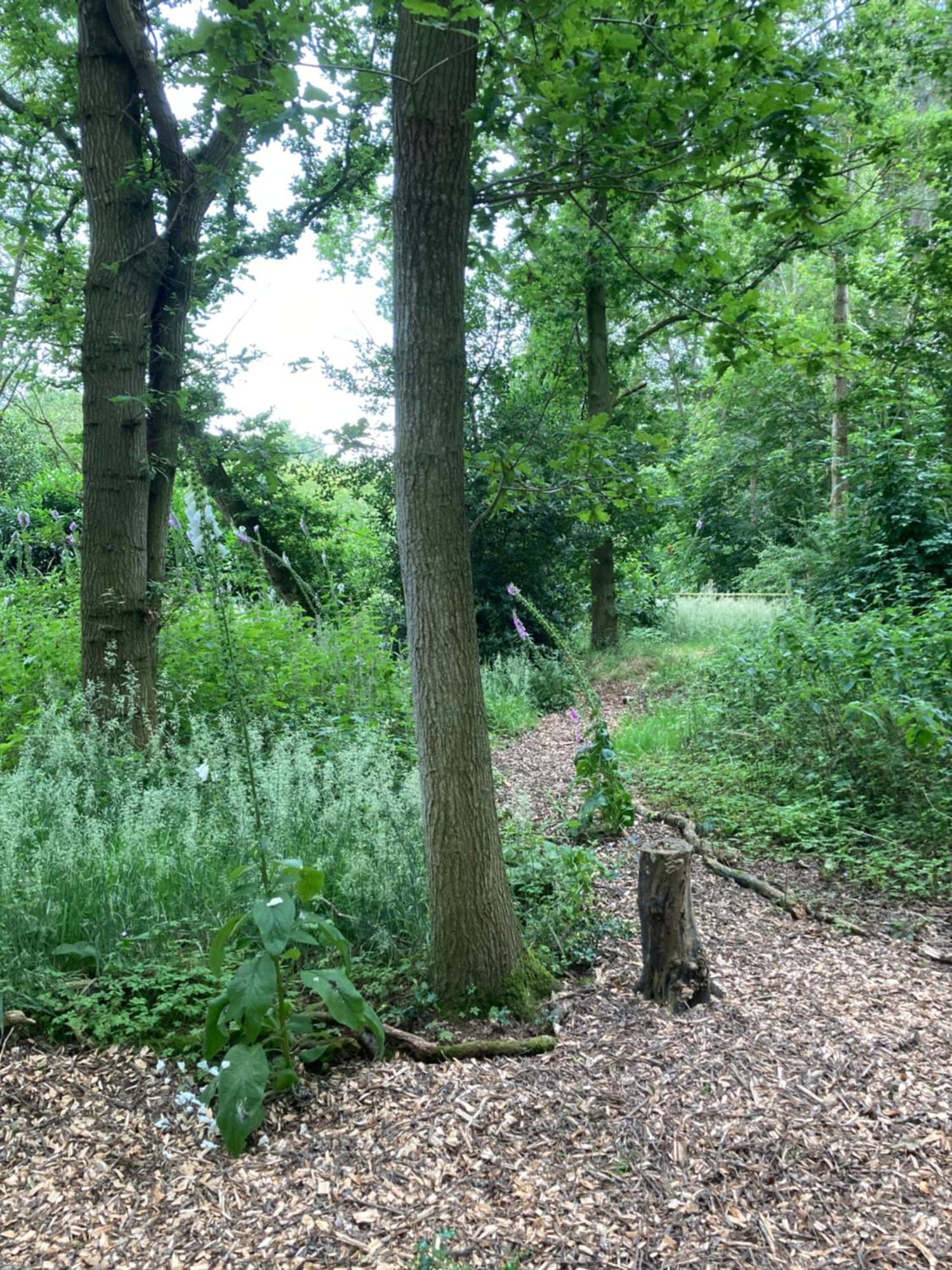 Woodland Retreat, Market Lane, Blundeston, Lowestoft Exteriör bild