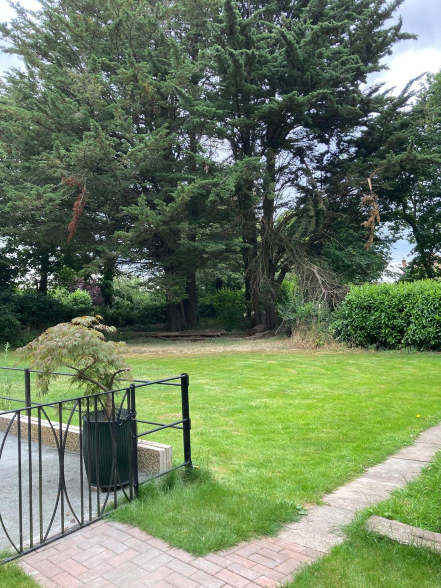 Woodland Retreat, Market Lane, Blundeston, Lowestoft Exteriör bild